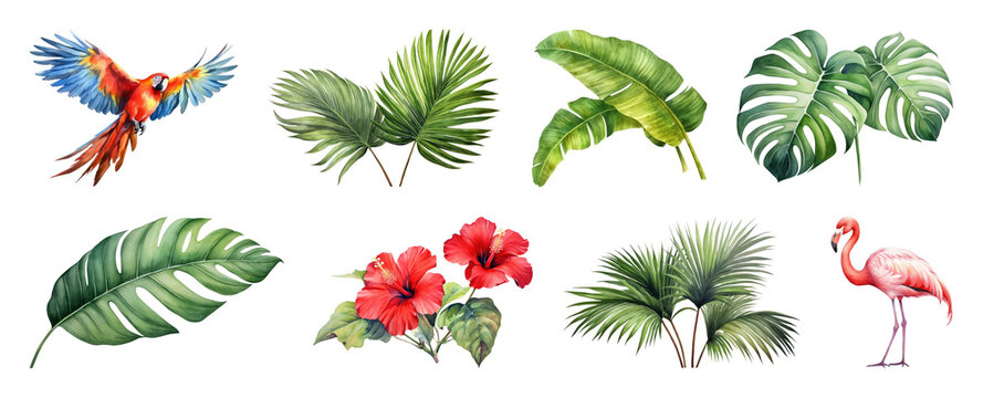 PNG Tropical flora fauna watercolor illustration on transparent background