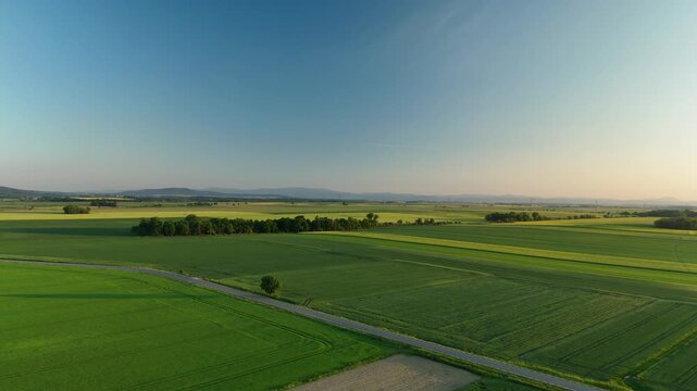 Drone view of farmland patchwork and crop fields stretching to low hills in early morning light