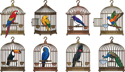 Vintage Birdcage and Exotic Tropical Bird Vector Set with Macaw, Toucan, Peacock, and Parrots in Ornate Golden Cages for Graphic Layout Designs © MD SOJIB 