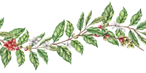 Seamless wave-shaped border with coffee branches. Isolated watercolor illustration for restaurant interior design, greeting cards, packaging, and menus. © Svetlana