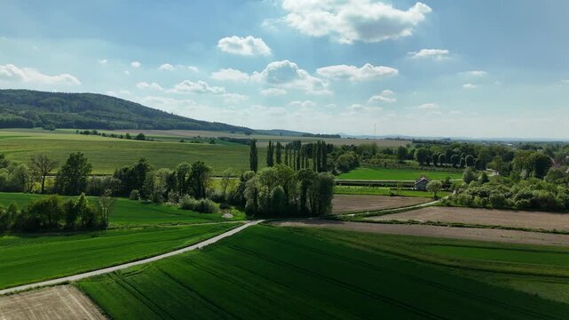 Aerial View of Countryside Farmland with Tree Lined Road and Rolling Hills in Poland