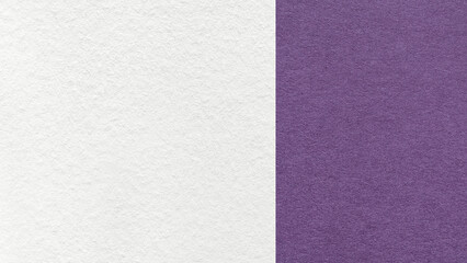 Fototapeta premium White paper texture two color background with violet vertical split and copy space for template, banner, presentation