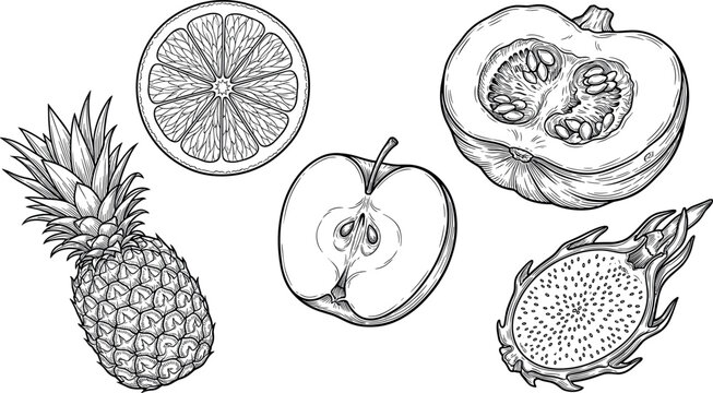 Hand Drawn Tropical and Garden Fruit Vector Icon Set Featuring Pineapple Apple Dragon Fruit Orange Slice and Pumpkin for Botanical and Healthy Food Designs