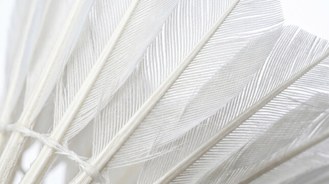 White feathers Shuttlecock tied together on white background