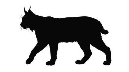 lynx silhouette black animal profile against a white background silhouette © arfan