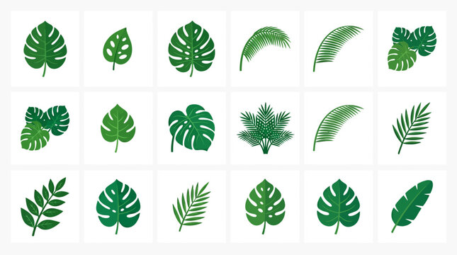 Collection of green tropical leaves.