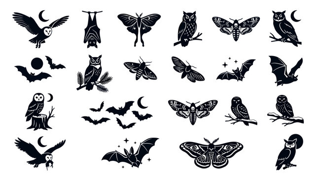 Black silhouettes of nocturnal birds.