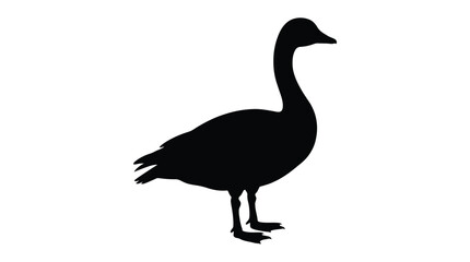 Goose silhouette against a white background simple black animal shape silhouette © arfan