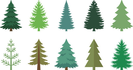 Collection of various green pine trees in different shades and styles © VectoLover