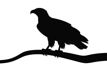 Fototapeta premium Crow silhouette sitting on a branch isolated on white background