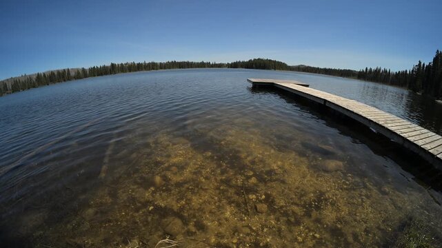 Wide angle fish view of a small northern lake surrounded by spruce trees with small waves on the water under a blue sky
