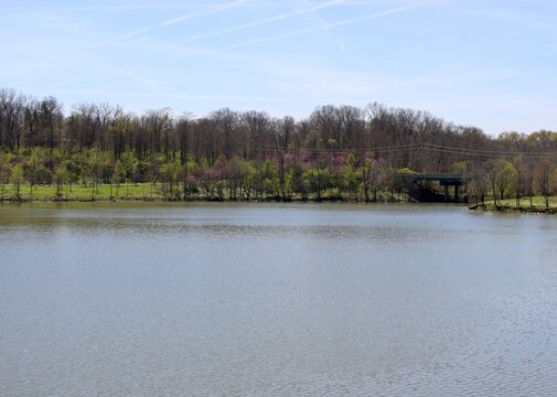 The lake in the countryside on a sunny day.