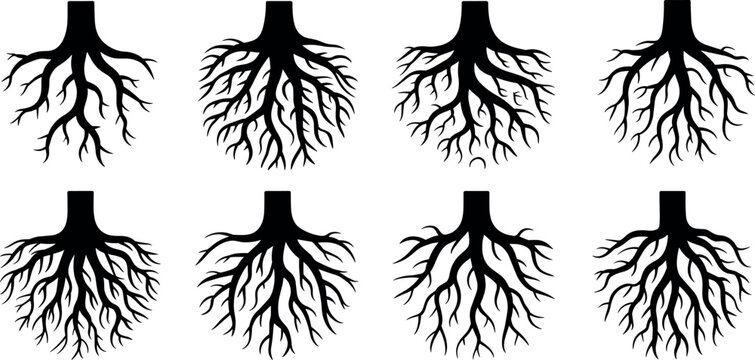 Collection of black silhouette tree roots vector graphics isolated on white background for nature and environmental designs