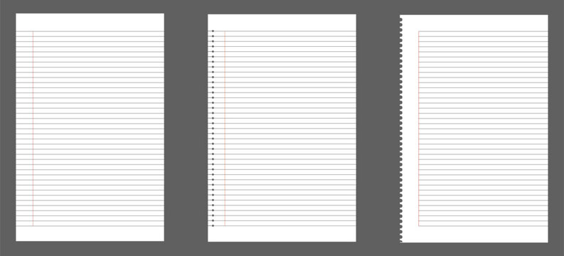 paper notebook, blank paper note book, notebook sheet, notebook page template, line notepad pages, dot graph notepad page vector illustration.