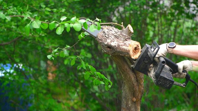 Handyman or arborist using a powerful chainsaw to cut a thick tree branch, generating sawdust and bark fragments flying in the air during landscaping work