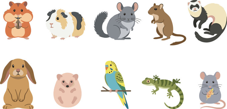 Small Pet and Exotic Animal Vector Collection Featuring Hamster, Guinea Pig, Chinchilla, Mouse, Ferret, Rabbit, Bird, and Reptile Illustration Designs