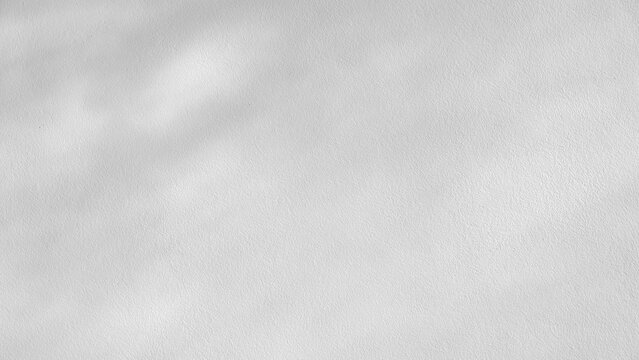Empty shadow sunlight overlay white wall background, Blurred wall room studio background with shadow light backdrop well banner design display product show and text present on free space gray color