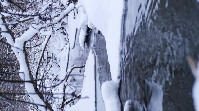 A person walks along the edge of a lake surrounded by snow-covered trees on a winter day. Frozen patches form on the water surface.