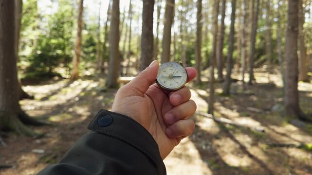 Finding direction in the forest with a compass while exploring trees and nature during the day