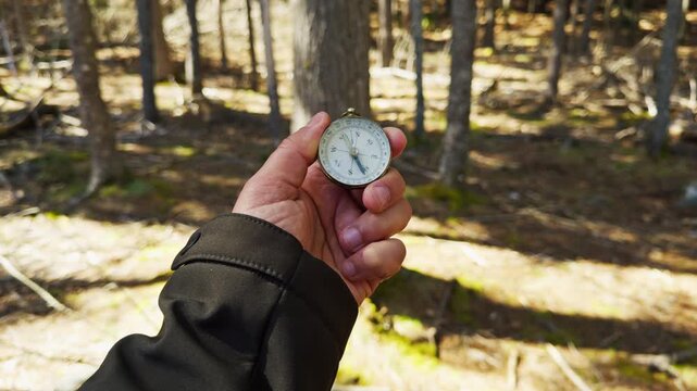 A hand holds a vintage compass tightly while surrounded by tall trees, sunlight filtering through the leaves. The adventure of navigation unfolds in a serene woodland setting