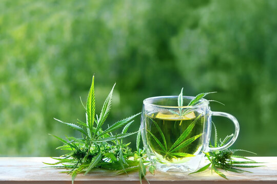 Glass cup of cannabis herbal tea with hemp leaves close up on table outdoor, abstract nature background. CBD hemp drink, cannabis leaves use in natural medicine. legal industrial marijuana extract
