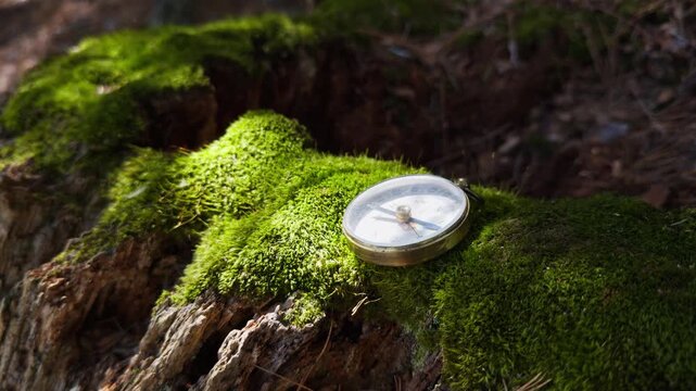 Amidst a vibrant green forest, a compass rests on moss-covered wood, reflecting sunlight. Nature's beauty surrounds this simple tool, inviting exploration and adventure
