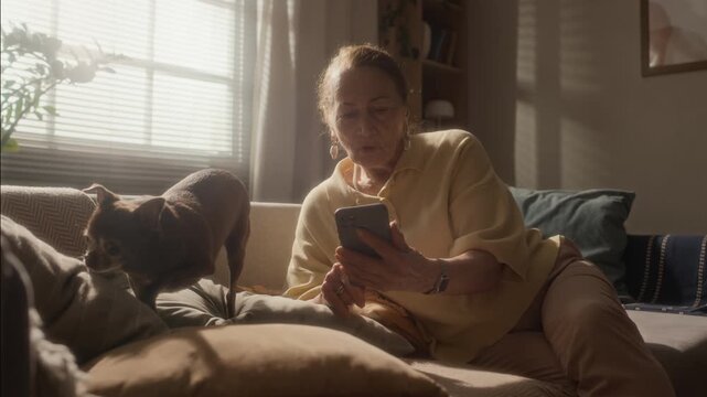 Eye level shot of senior female relaxing with smartphone while tiny Chihuahua companion dog resting comfortably nearby on couch in sunlit apartment