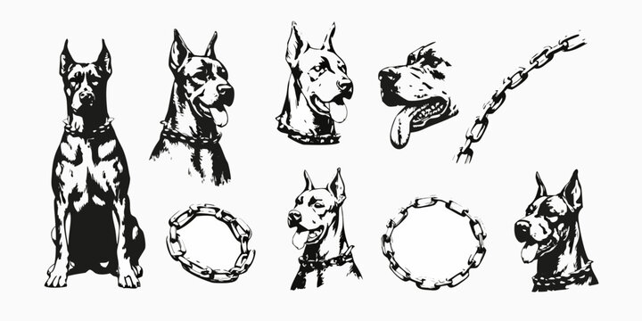 Great Dane Dog Illustrations And Chain Links Black And White Vector
