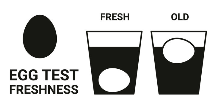Egg freshness float test infographic. Diagram comparing fresh and old egg submerged in water glass. Culinary safety guide for home cooking, food quality inspection, testing method. Vector illustration