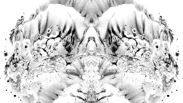 Manchas de tinta negra usadas en psicolog&iacute;a para crear dibujos abstractos, figura abstracta tipo Rorschach con fondo transparente	