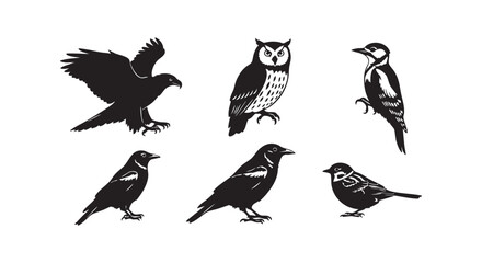 Fototapeta premium Set of bird silhouettes, eagle, owl, woodpecker, crow, sparrow, wild birds in flight and perched, nature wildlife graphic.
