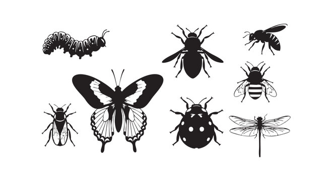 Set of insect silhouette icons featuring butterfly caterpillar ladybug dragonfly bee and fly isolated on white background.