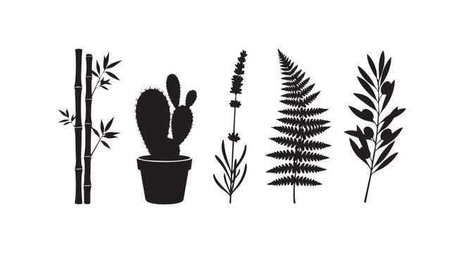 Set of plants bamboo cactus lavender fern and olive branch isolated on white background botanical collection.