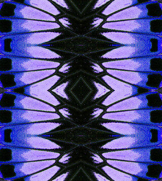Seamless abstract pattern texture based on macro photography of purple and black tropical butterfly wings