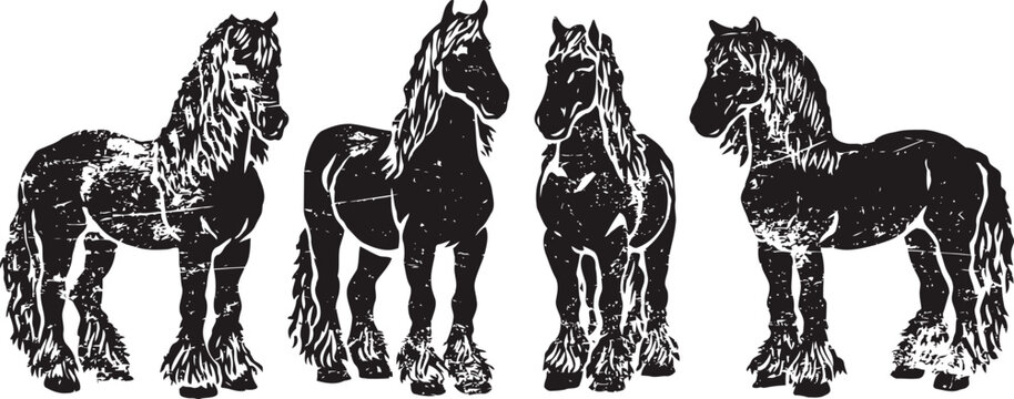 black friesian horses standing in different poses with detailed mane and feathered hooves
