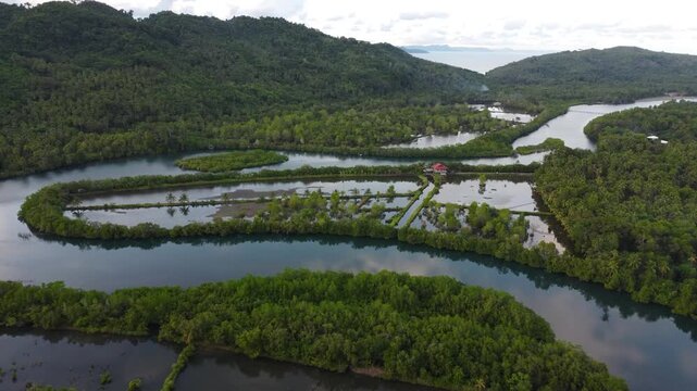 Drone aerial footage of Cantilan in Mindanao, Philippines featuring tropical coastline, river, ocean water, forest, lush jungle and natural island landscape.