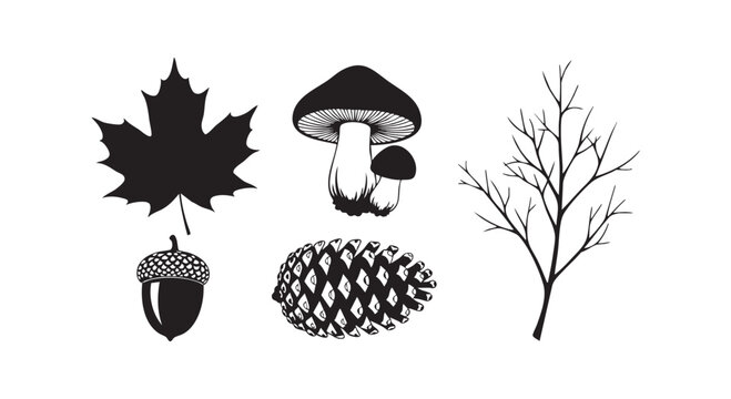 Autumn forest nature elements set with maple leaf mushroom acorn pine cone and dry tree branch silhouette isolated graphics.