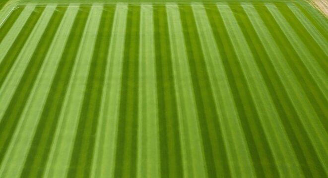 Close-up view of a well-maintained green grassy surface with parallel lines
