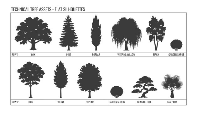 Flat silhouettes of various trees like oak pine poplar weeping willow birch on transparent background vector.
