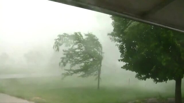 A thunderstorm with strong winds battering the trees in the garden. Extreme weather conditions.