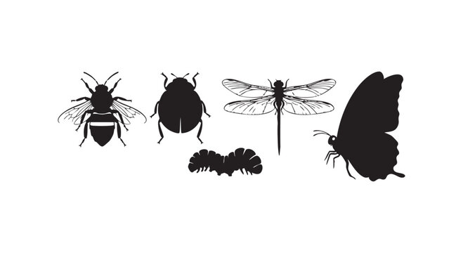 Insect silhouette set featuring bee ladybug dragonfly caterpillar and butterfly icons isolated on plain white background.