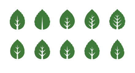 Set of Green Mint Leaf Icons for Organic Nature Branding © Ibnu