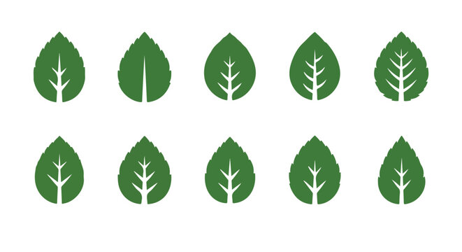 Set of Green Mint Leaf Icons for Organic Nature Branding