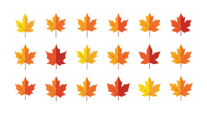Set of colorful autumn maple leaves in flat vector style