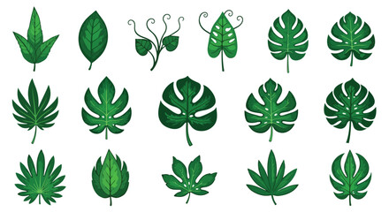 Set of tropical green leaf vector illustrations on white background © Ibnu