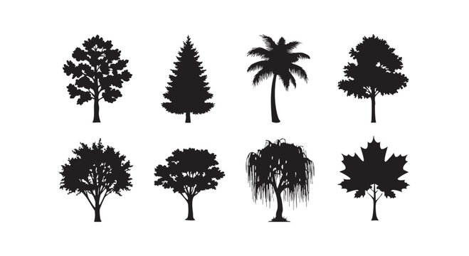 Tree silhouette collection with oak pine palm willow and maple leaf shapes isolated on white background for landscaping.