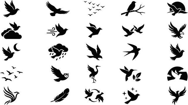 Diverse set of bird and nature icons, including various bird species, elements like clouds, wind, rain, and moon, for versatile design applications.