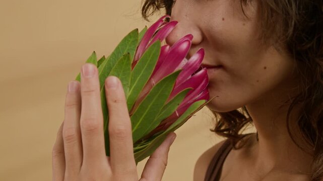 Close-up tilt up view of Caucasian gentle girl enjoying smell of pink protea flower against beige background