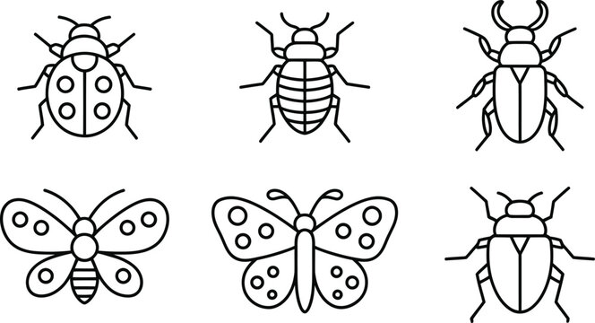 Insects line icon set vector collection of outline bug symbols featuring ladybug butterfly beetle stag beetle and bed bug
