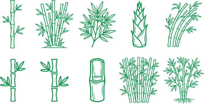 Various green bamboo plants and stems in different shapes and sizes  illustrations
